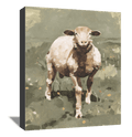 Wildlife